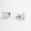 Lucky Charm Studs